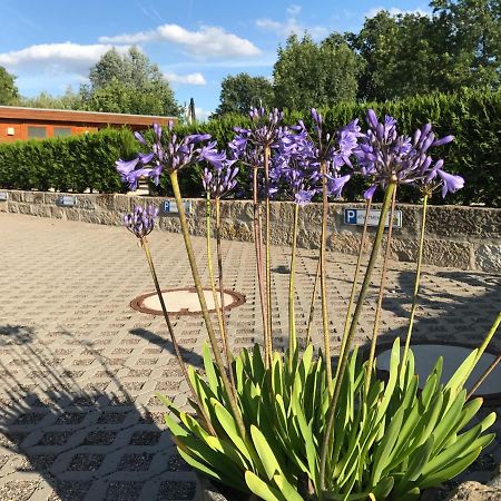 Kaitzbach-Idylle Daire Dresden Dış mekan fotoğraf