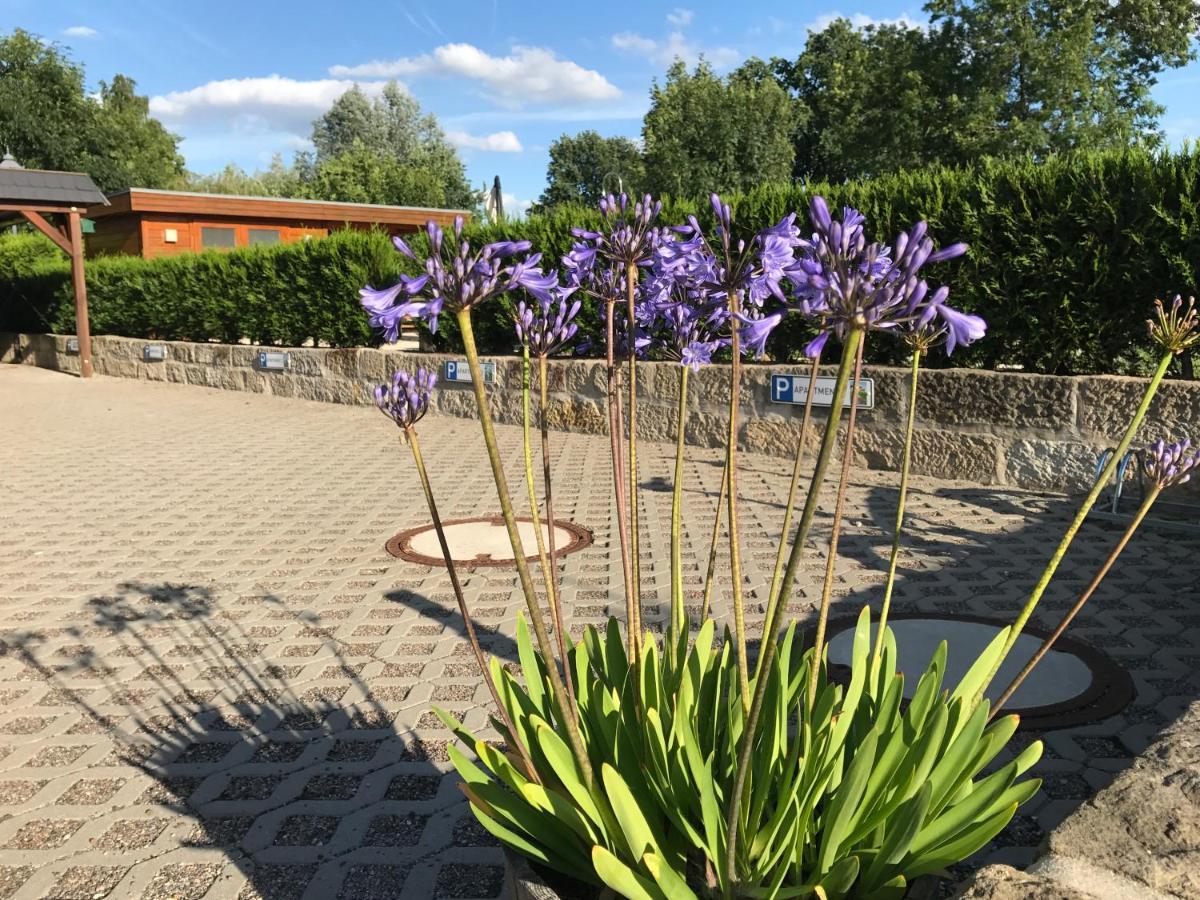 Kaitzbach-Idylle Daire Dresden Dış mekan fotoğraf